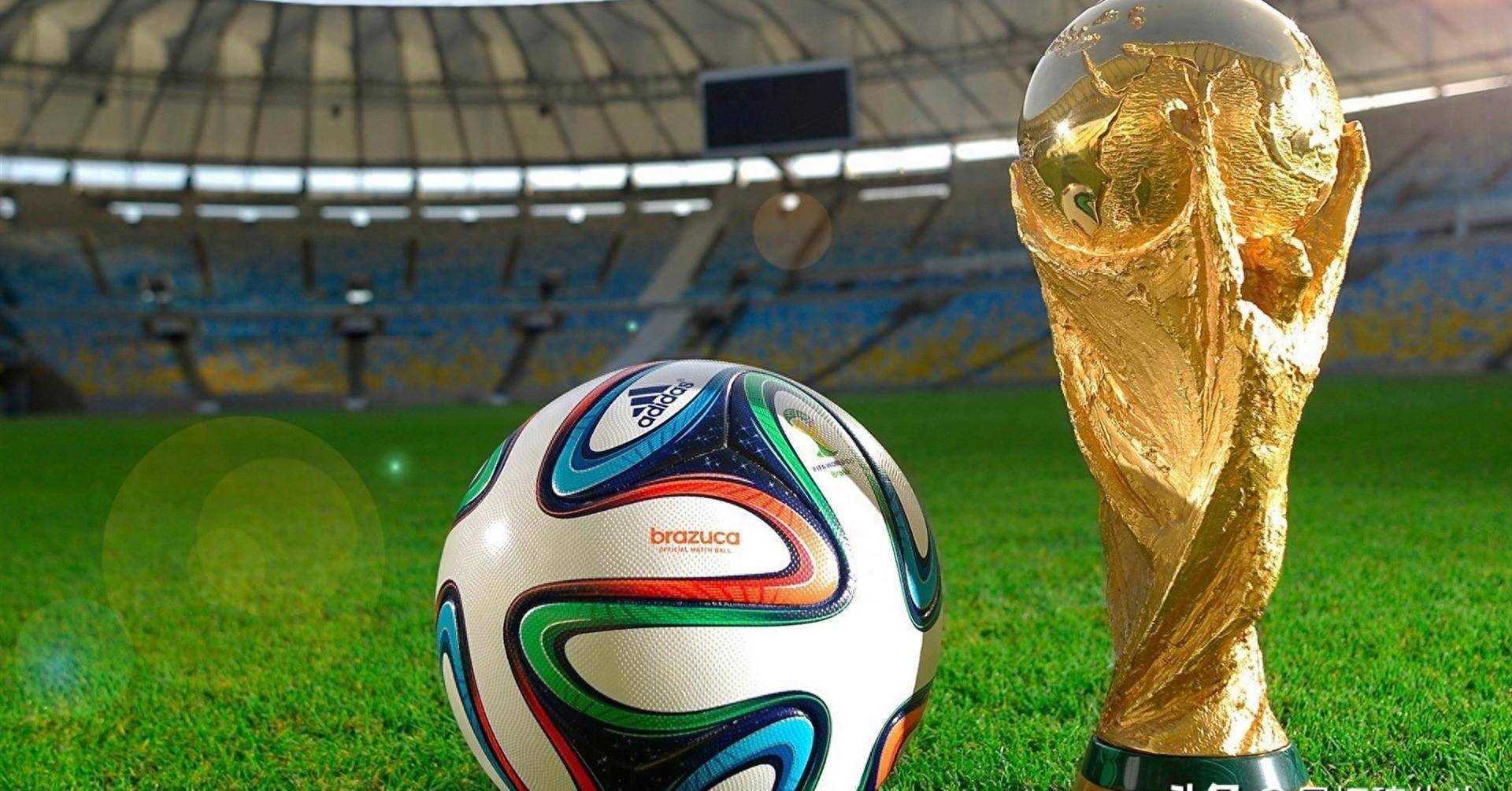 制过分集中 制过分集中